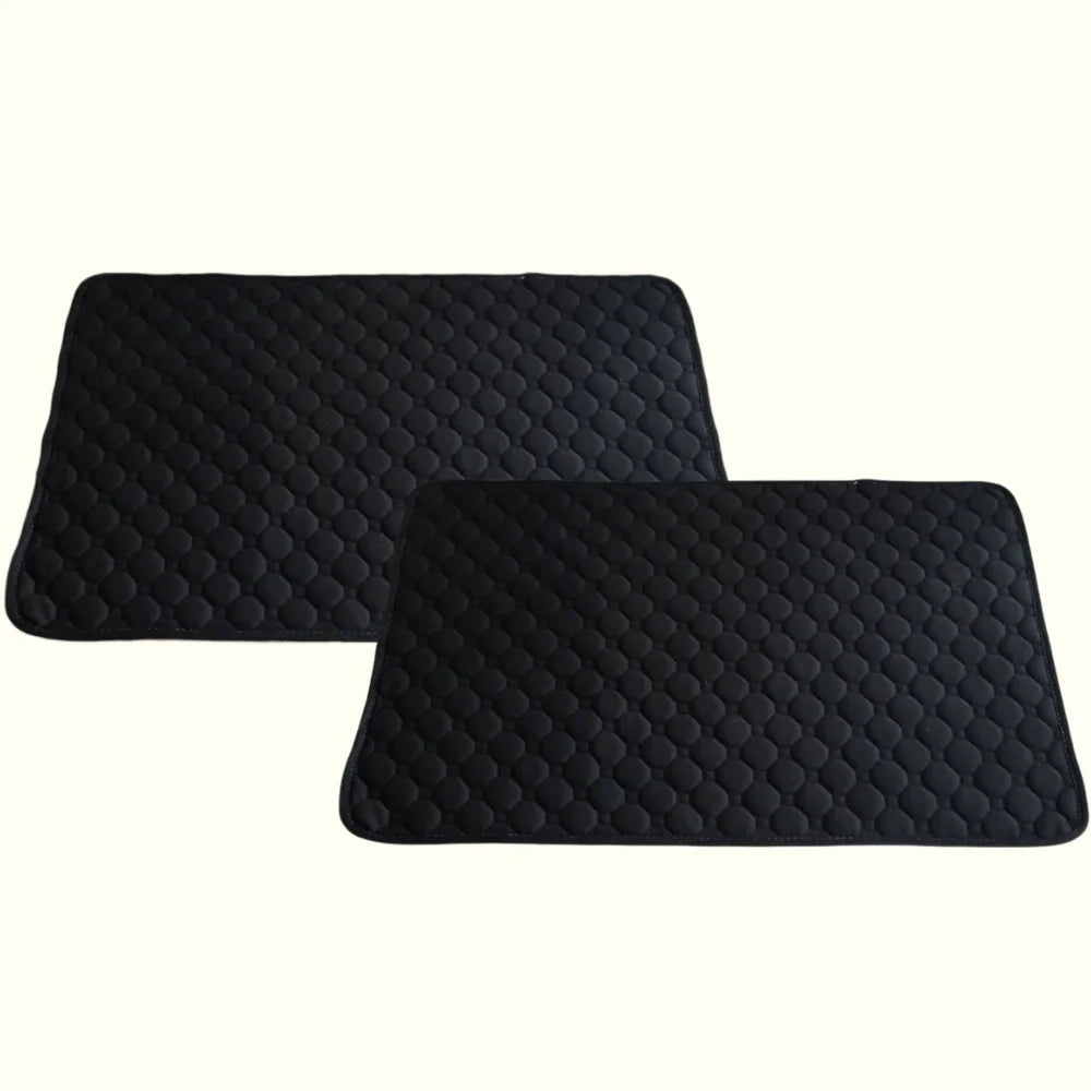 משטח ספיגה איכותי 1+1 | הפתרון המושלם לבעלי גורים