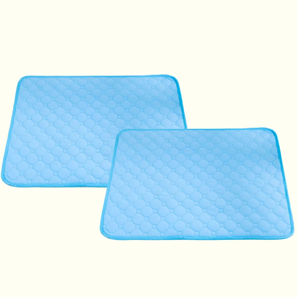 משטח ספיגה איכותי 1+1 | הפתרון המושלם לבעלי גורים