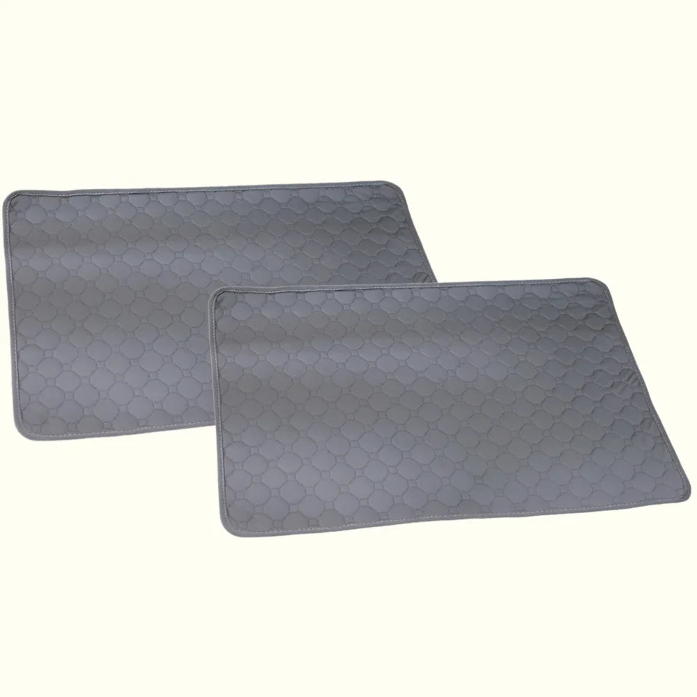 משטח ספיגה איכותי 1+1 | הפתרון המושלם לבעלי גורים