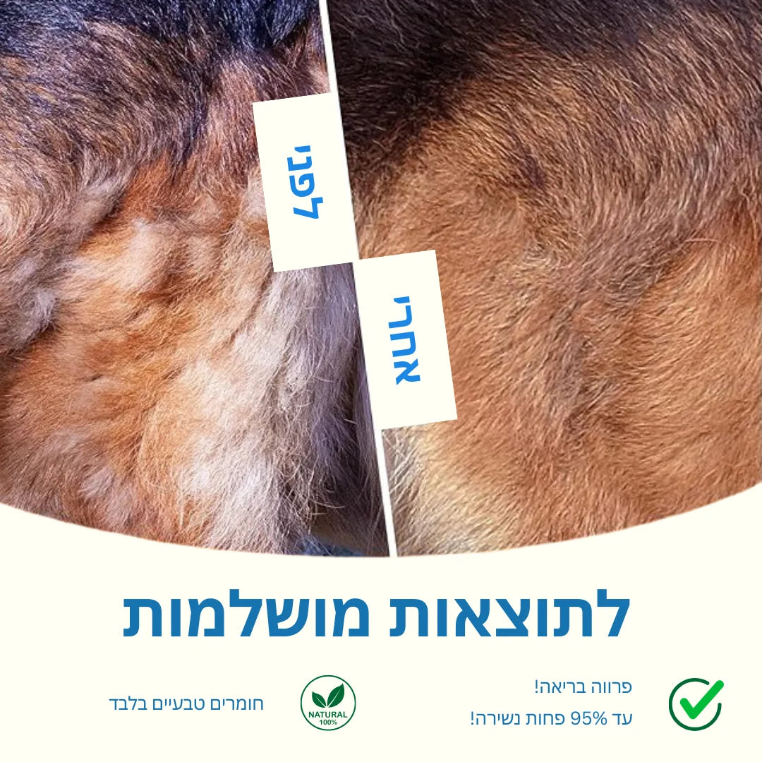 ערכת פרימיום למניעת נשירה ופרווה בריאה