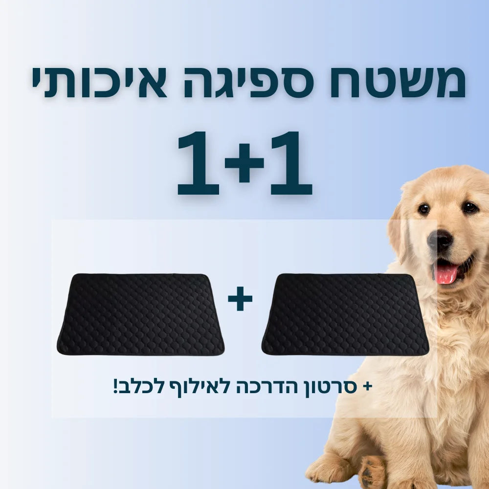 משטח ספיגה איכותי 1+1 | הפתרון המושלם לבעלי גורים
