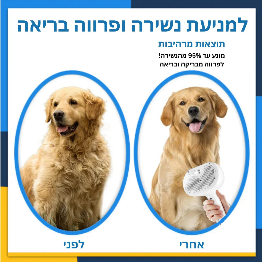 ערכת פרימיום למניעת נשירה ופרווה בריאה