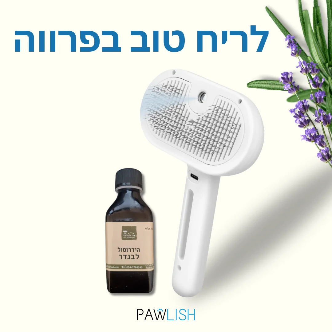 מסרק אדים פרימיום + תמצית
