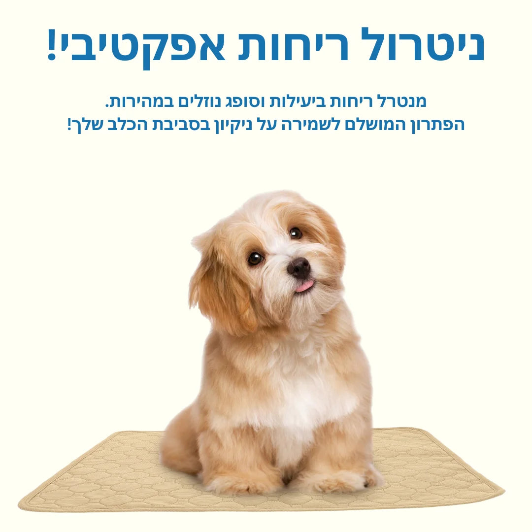 משטח ספיגה איכותי 1+1 | הפתרון המושלם לבעלי גורים