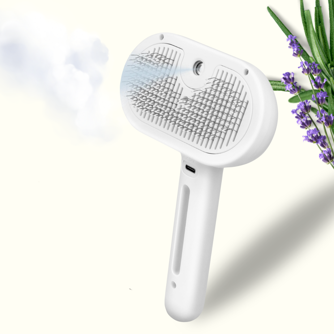 עריכת תמונות לאתר pawLISH (3).png__PID:88dc9f1e-fc1e-456d-a033-c9c9a446167a