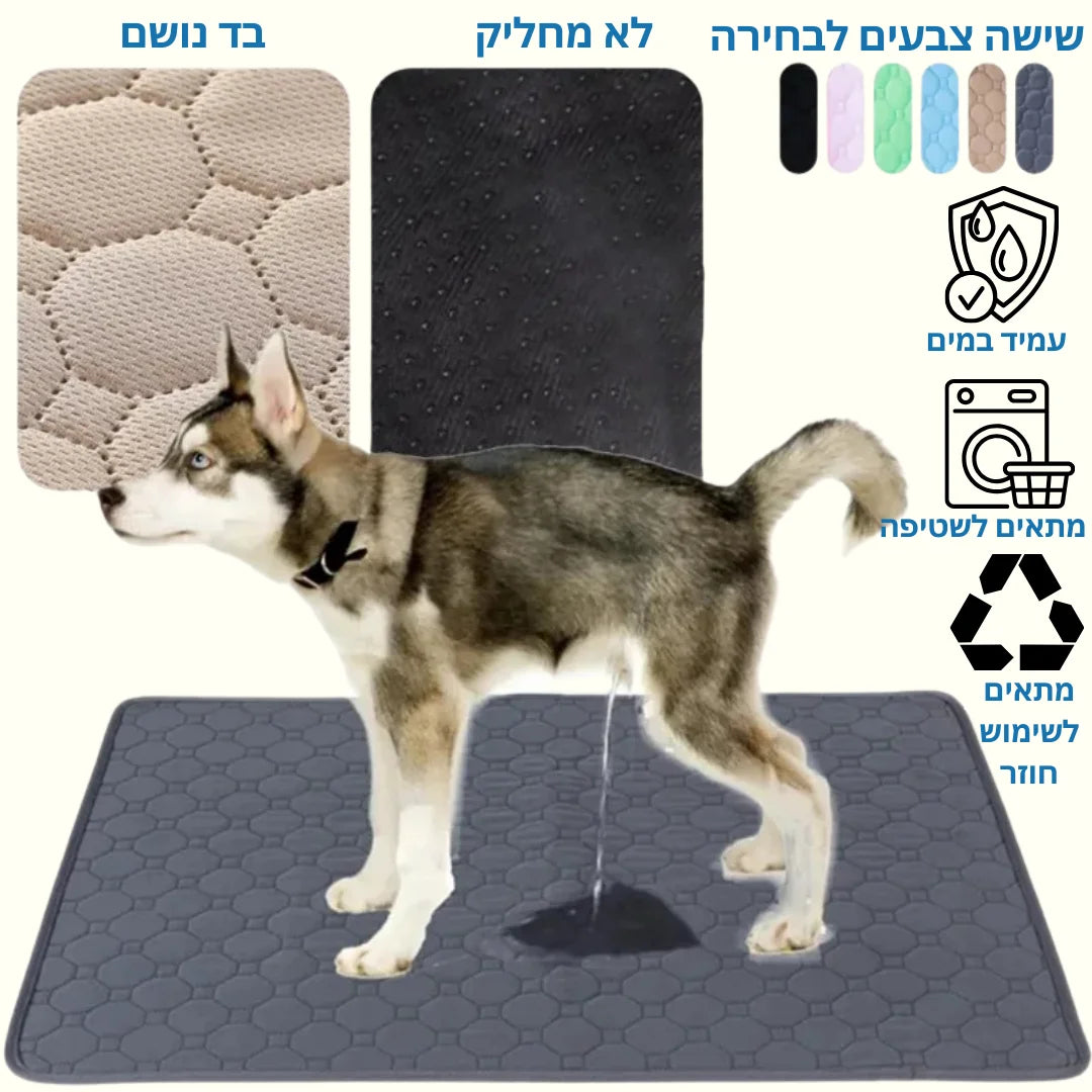 משטח ספיגה איכותי 1+1 | הפתרון המושלם לבעלי גורים