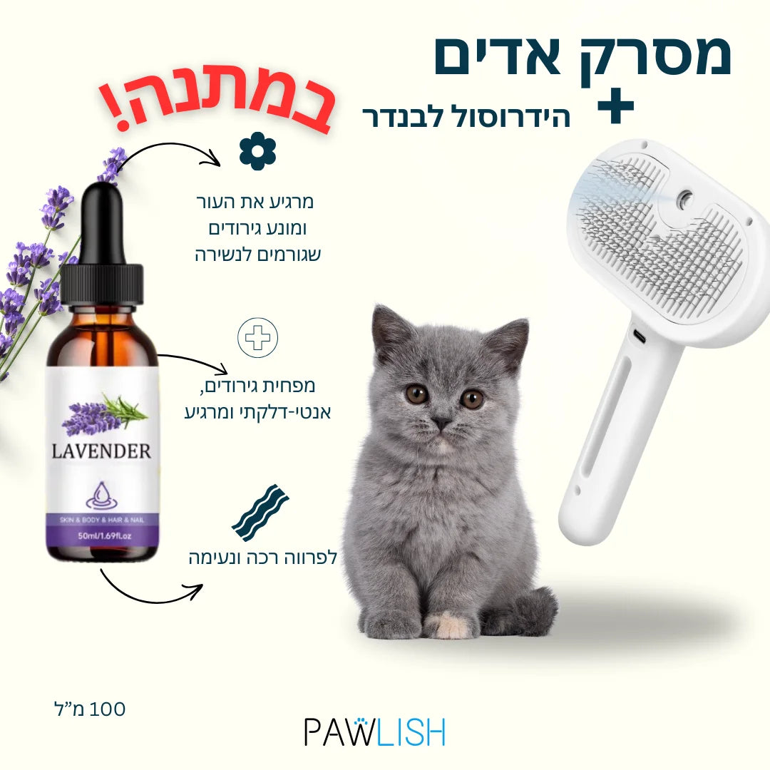 מסרק אדים לפרווה מבריקה | קבלו תמצית לפרווה בריאה וחיזוק הפרווה בחינם!