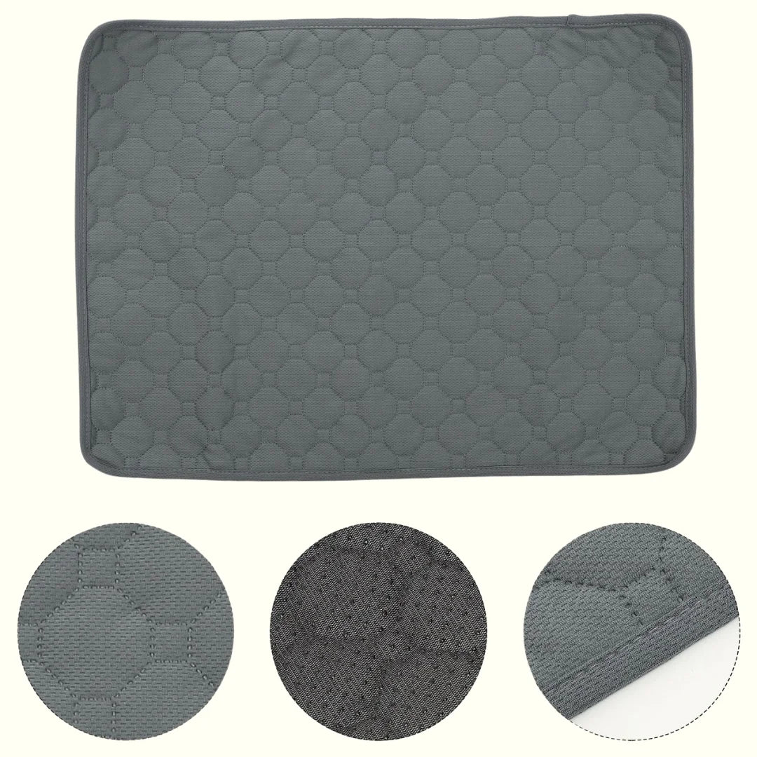 משטח ספיגה איכותי 1+1 | הפתרון המושלם לבעלי גורים