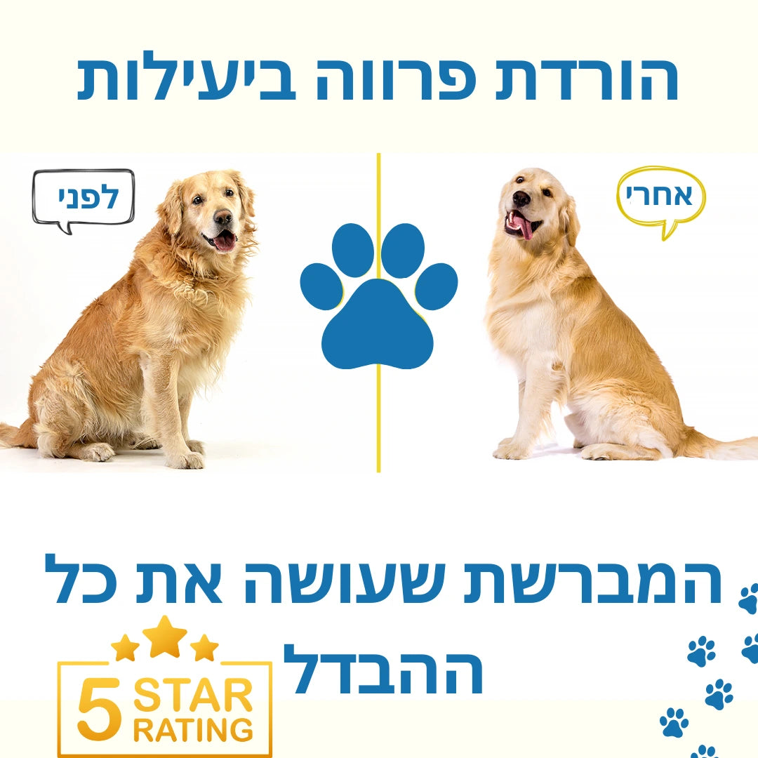 מברשת טיפוח מקצועית