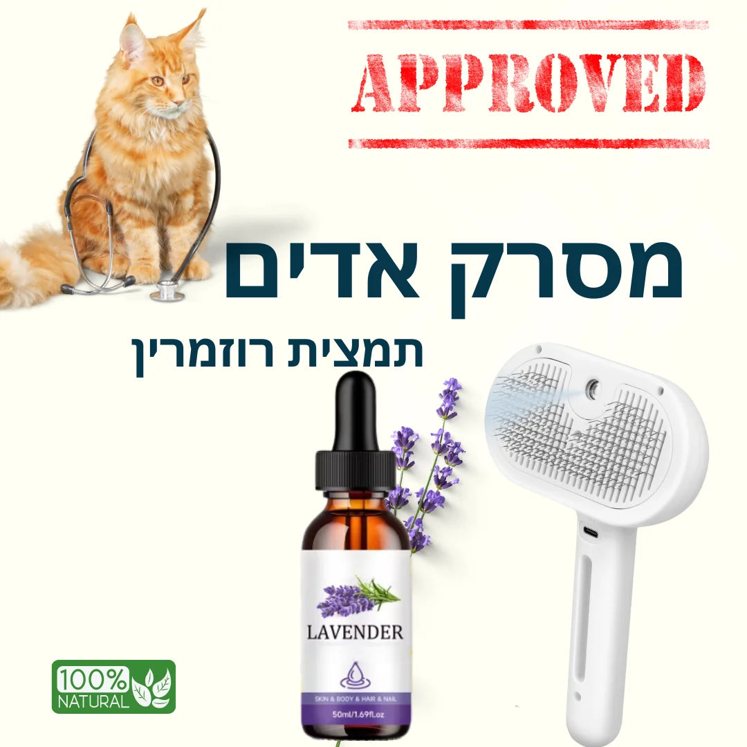 מסרק אדים לפרווה מבריקה | קבלו תמצית לפרווה בריאה וחיזוק הפרווה בחינם!