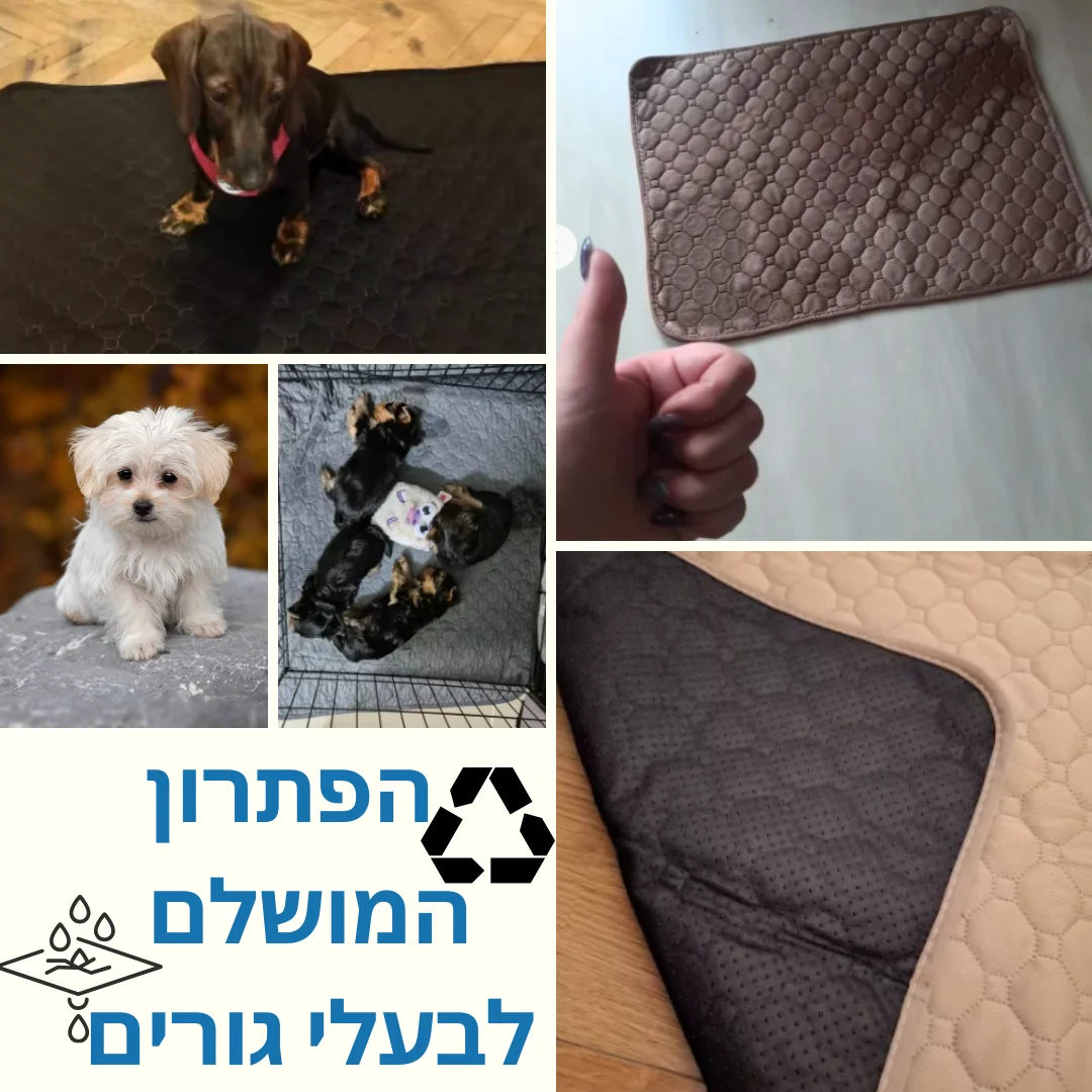 משטח ספיגה איכותי 1+1 | הפתרון המושלם לבעלי גורים