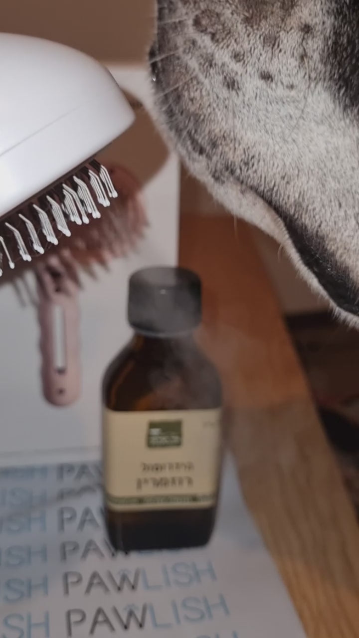 מסרק אדים פרימיום + תמצית